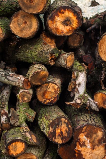 Close-up image of stacked firewood logs with rough, textured bark and cut ends revealing orange-brown wood, stored outdoors with some moss and lichen growth on the surface. The logs are arranged horiz
